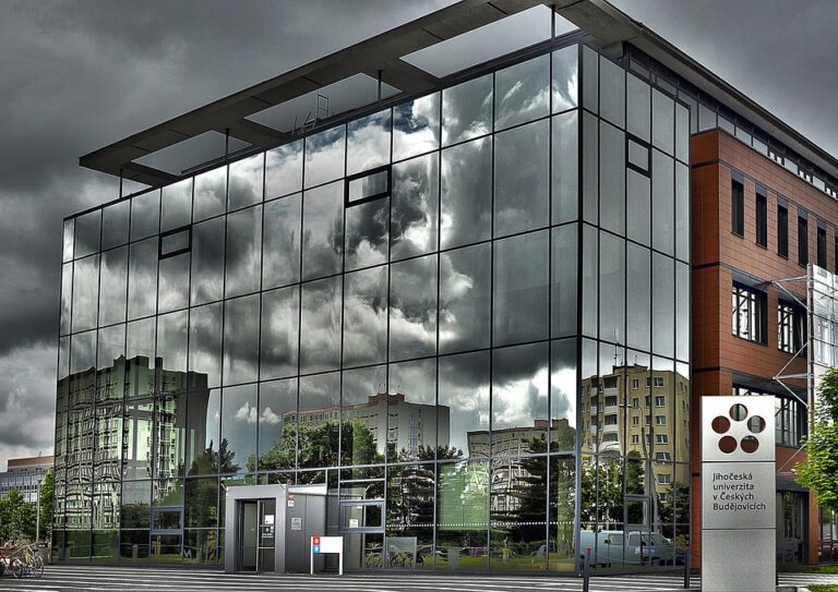 Kegiatan Mahasiswa dan Organisasi Kemahasiswaan di Universitas Islam Negeri Sunan Ampel Surabaya